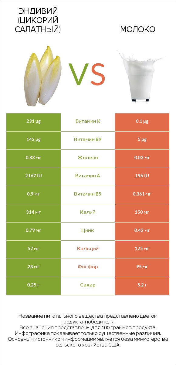 Эндивий (Цикорий салатный)  vs Молоко infographic