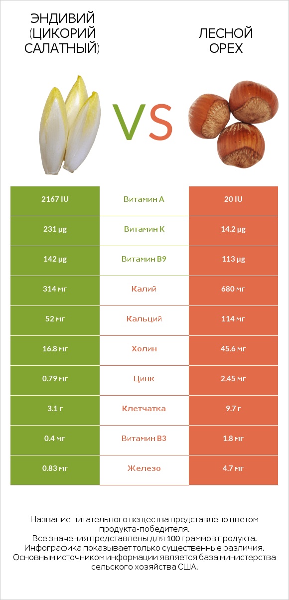 Эндивий (Цикорий салатный)  vs Лесной орех infographic