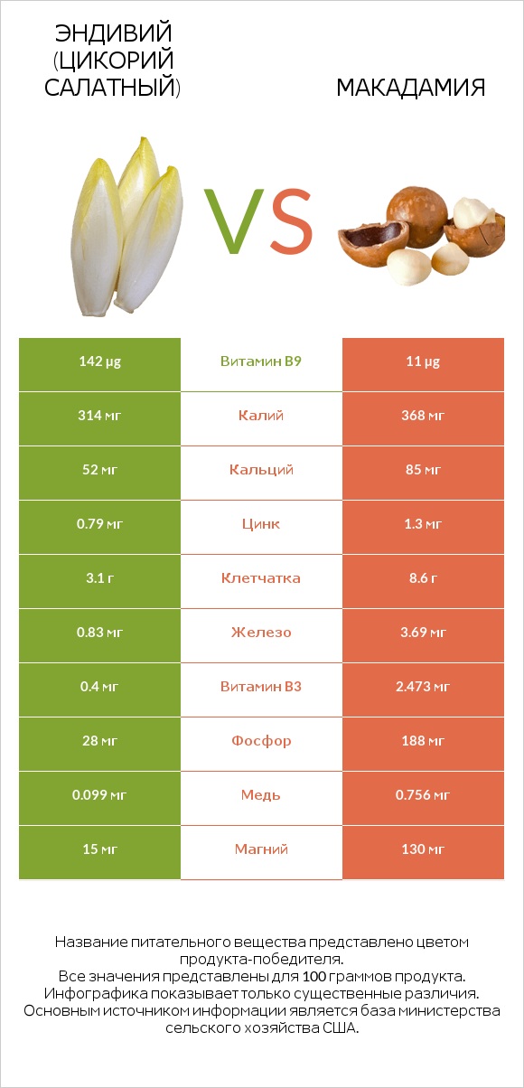 Эндивий (Цикорий салатный) vs Макадамия infographic