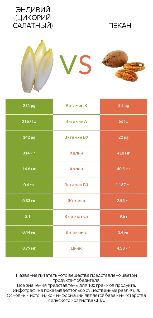 Эндивий (Цикорий салатный)  vs Пекан infographic