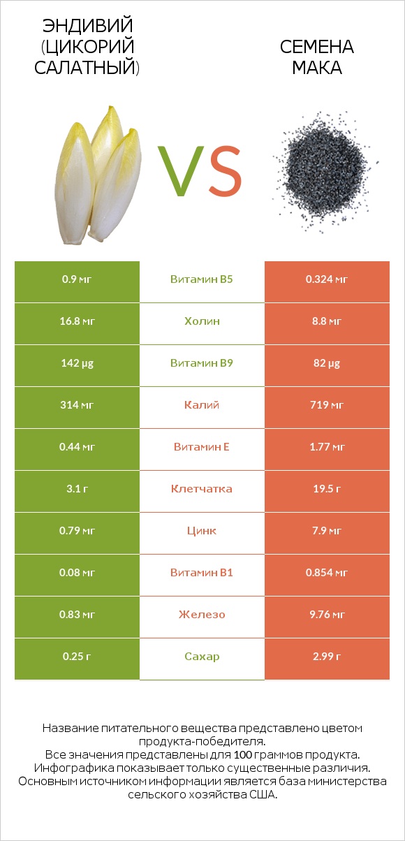 Эндивий (Цикорий салатный)  vs Семена мака infographic
