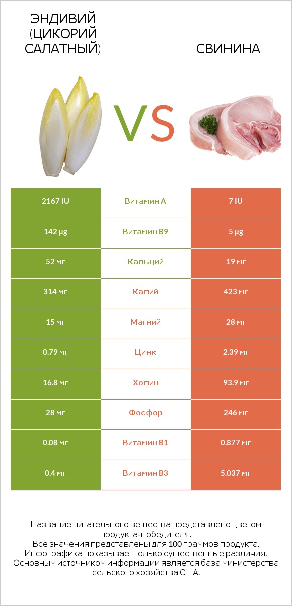 Эндивий (Цикорий салатный)  vs Свинина infographic