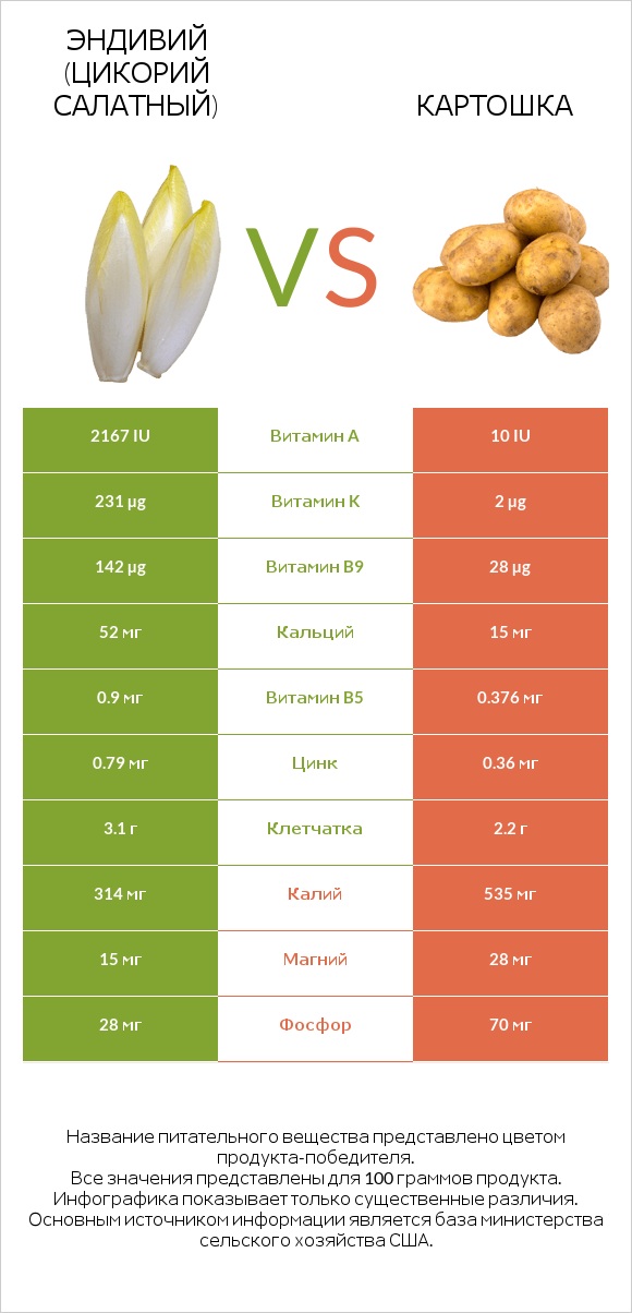 Эндивий (Цикорий салатный)  vs Картошка infographic