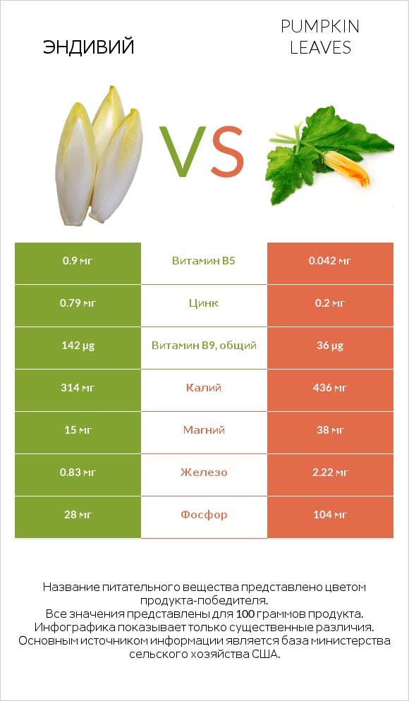 Эндивий vs Pumpkin leaves infographic