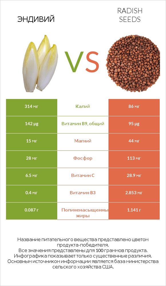 Эндивий vs Radish seeds infographic