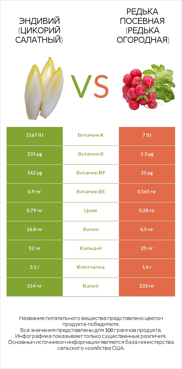 Эндивий vs Редис infographic