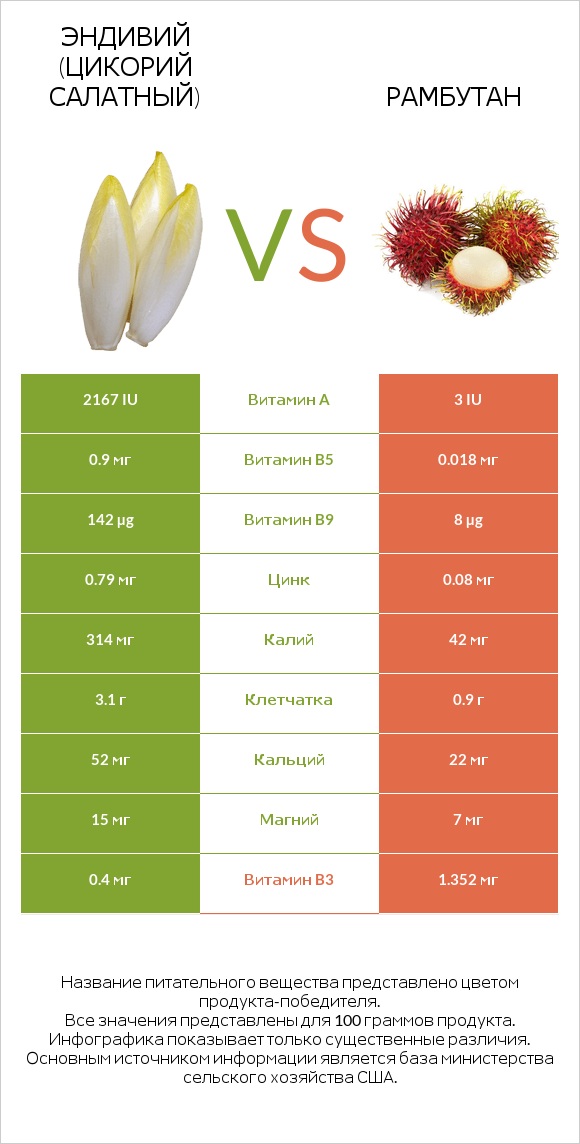 Эндивий (Цикорий салатный)  vs Рамбутан infographic