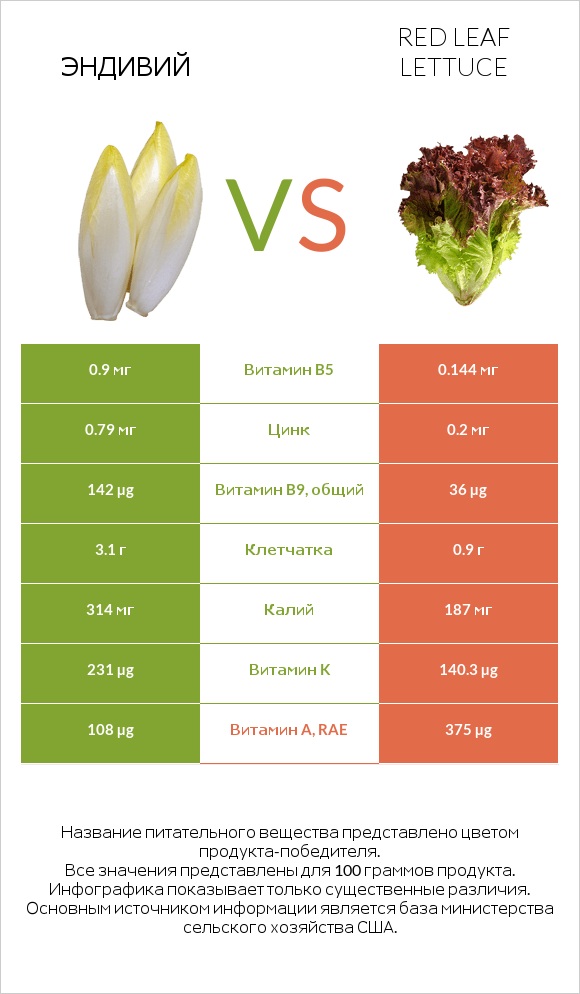 Эндивий vs Red leaf lettuce infographic