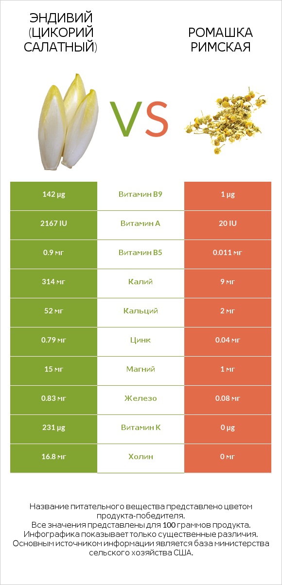 Эндивий (Цикорий салатный) vs Ромашка римская infographic