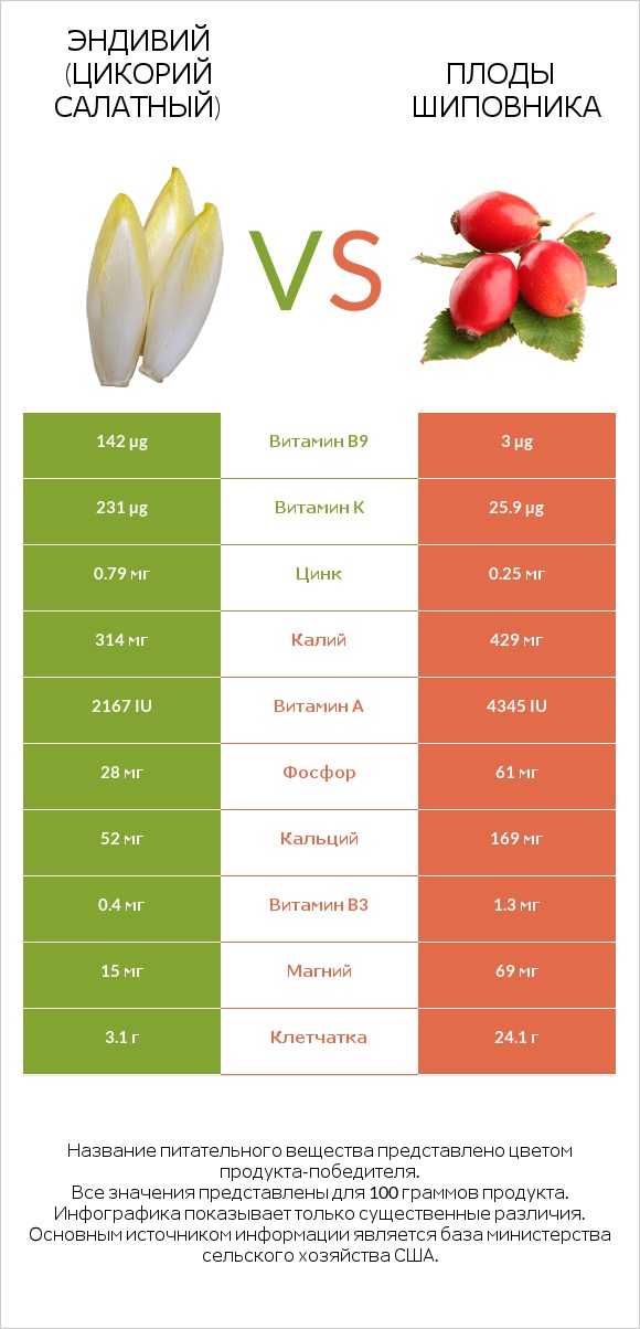 Эндивий (Цикорий салатный)  vs Плоды шиповника infographic