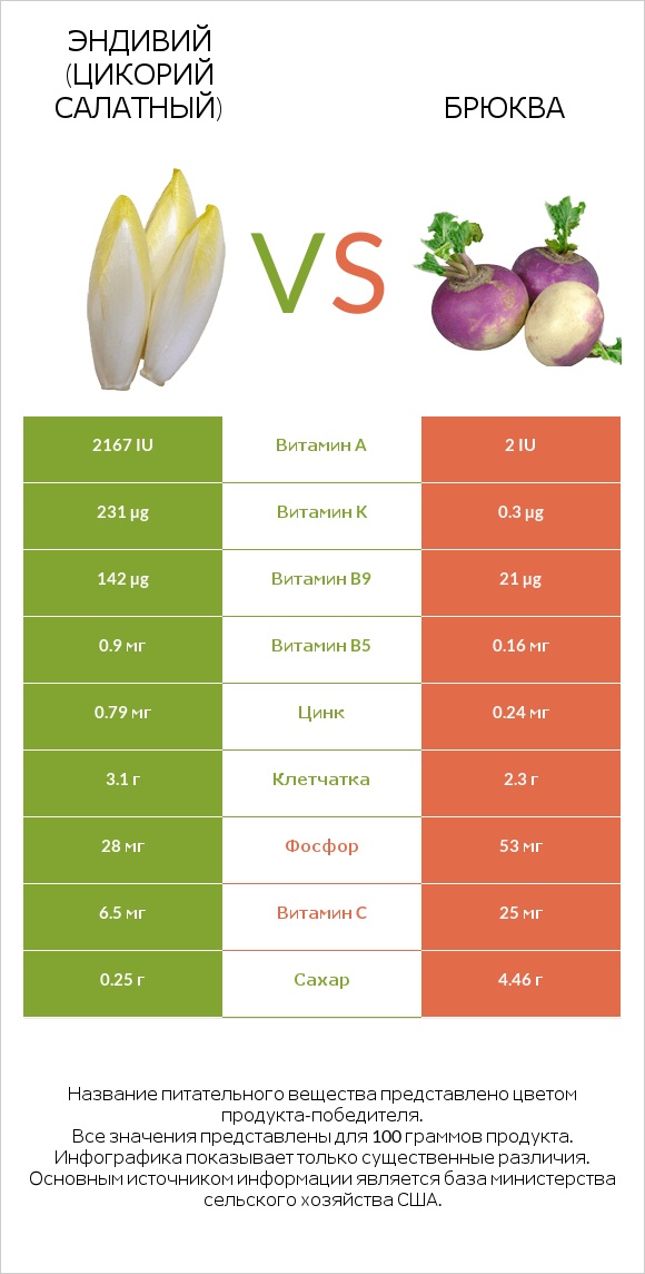 Эндивий vs Брюква infographic