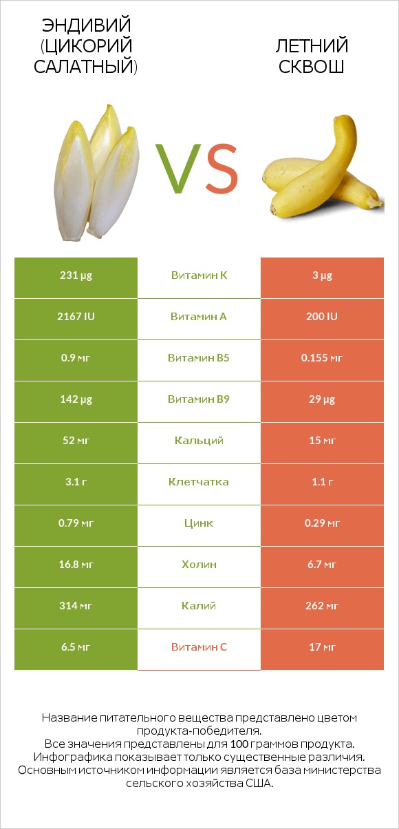 Эндивий vs Кабачок infographic