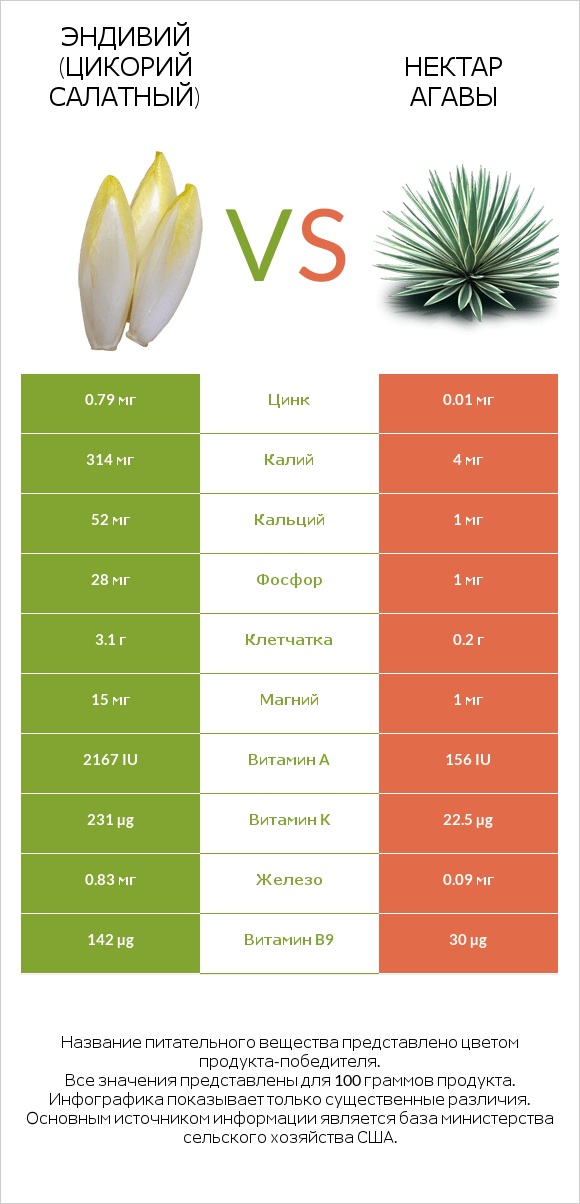 Эндивий (Цикорий салатный) vs Нектар агавы infographic