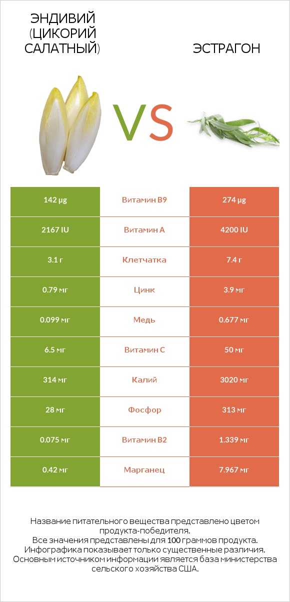 Эндивий (Цикорий салатный)  vs Эстрагон infographic