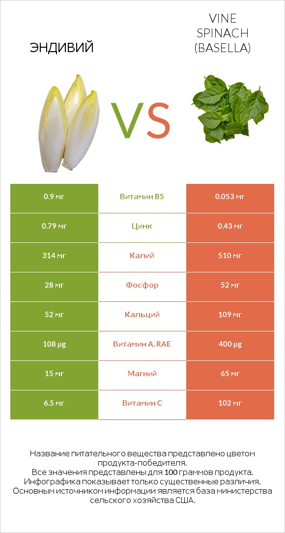 Эндивий vs Vine spinach (basella) infographic