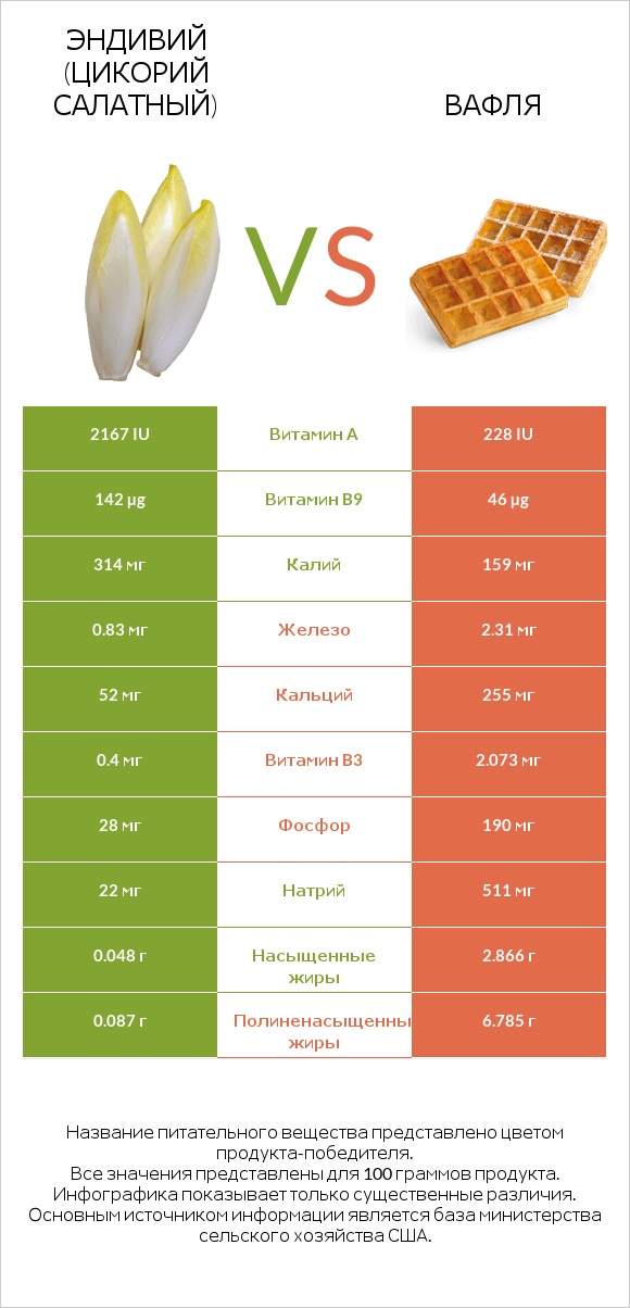 Эндивий (Цикорий салатный)  vs Вафля infographic