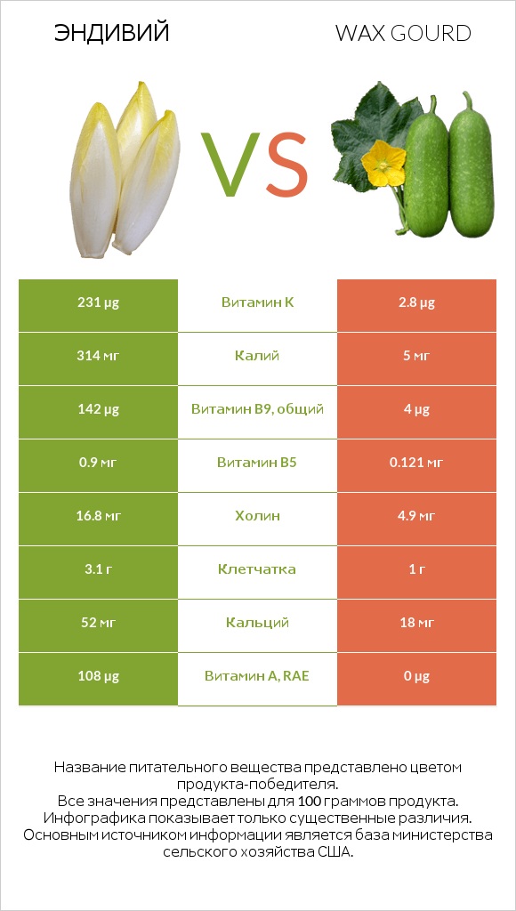 Эндивий vs Wax gourd infographic