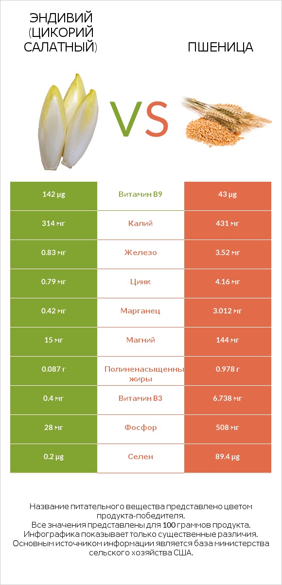 Эндивий (Цикорий салатный)  vs Пшеница infographic