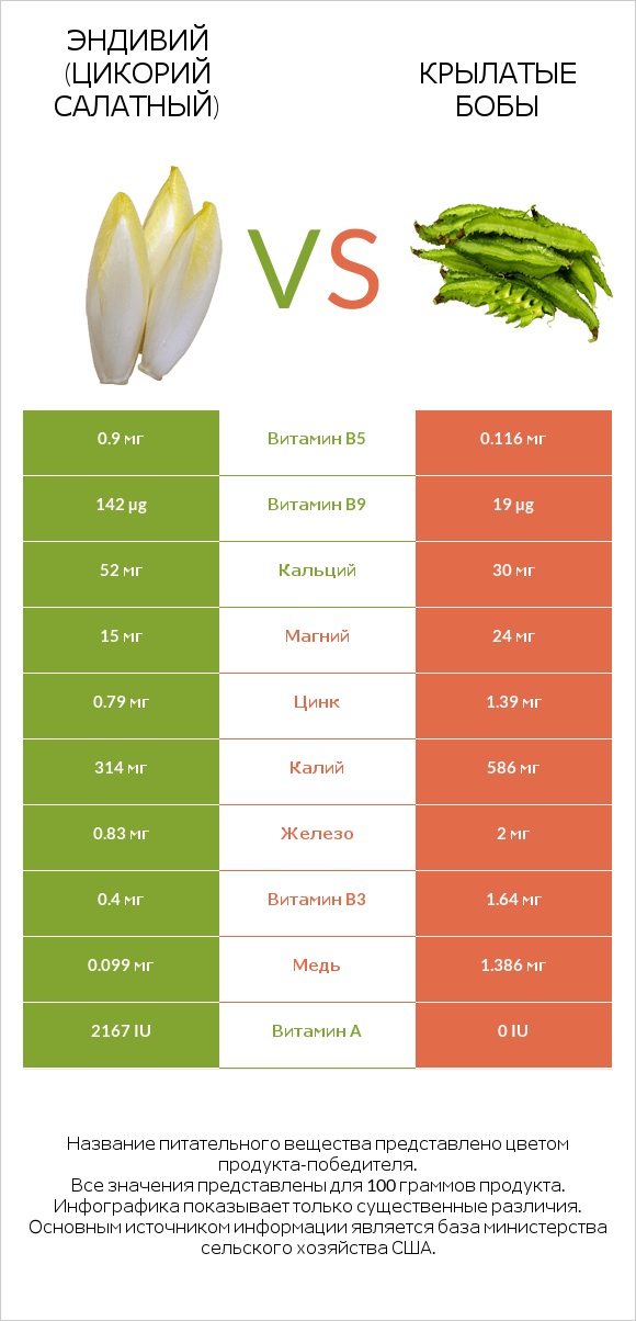 Эндивий (Цикорий салатный) vs Крылатые бобы infographic