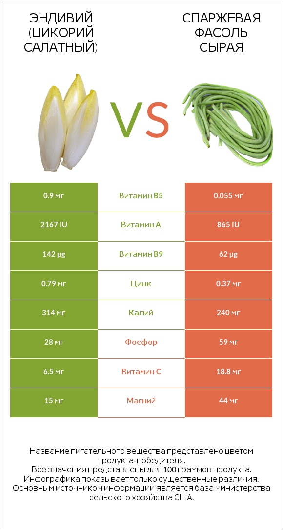 Эндивий (Цикорий салатный) vs Спаржевая фасоль сырая infographic