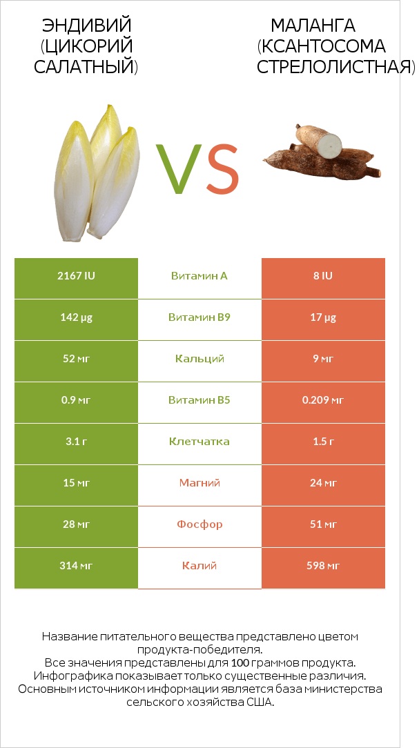 Эндивий (Цикорий салатный)  vs Маланга (Ксантосома стрелолистная) infographic