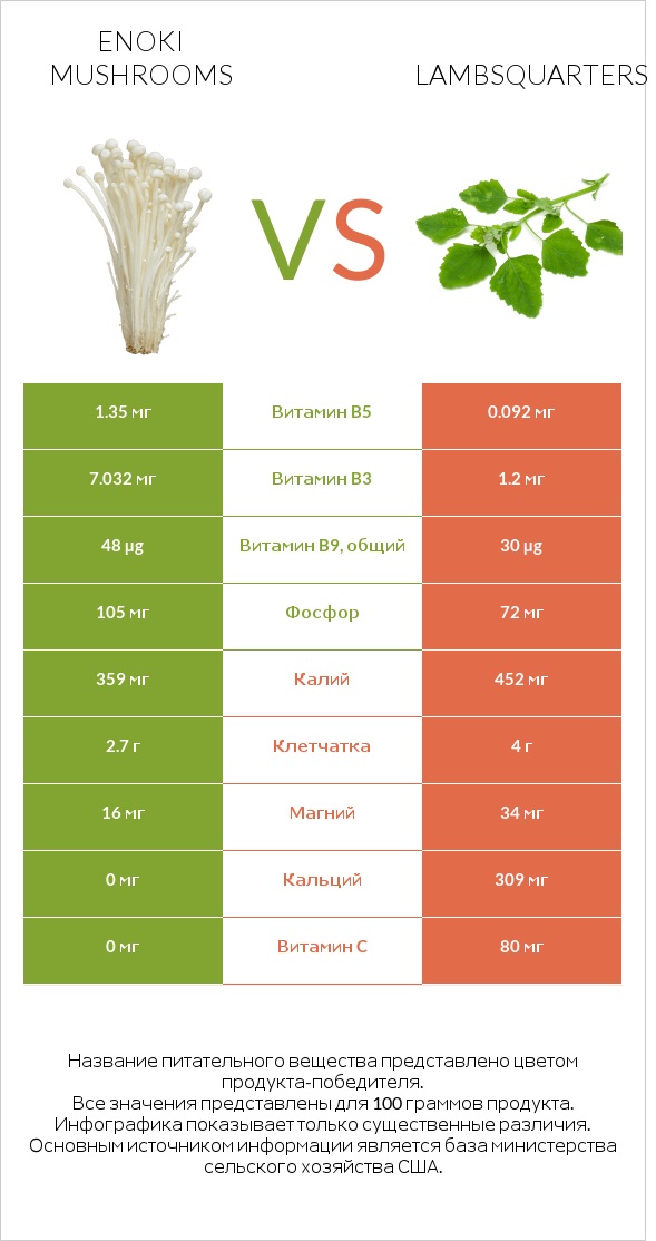 Enoki mushrooms vs Lambsquarters infographic