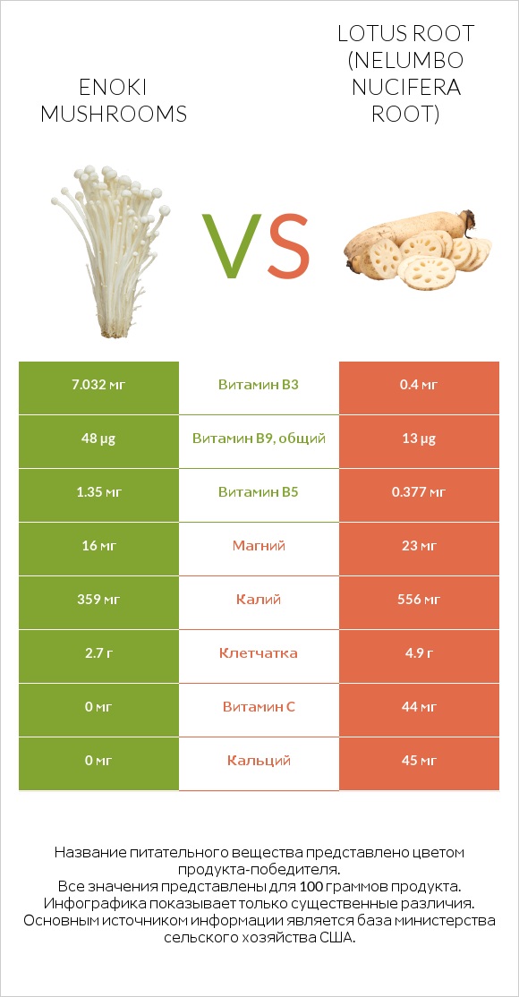 Enoki mushrooms vs Lotus root infographic