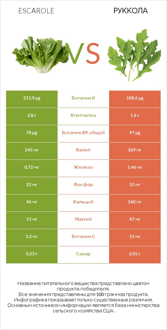 Салат Эскарол (эскариоль) vs Руккола infographic