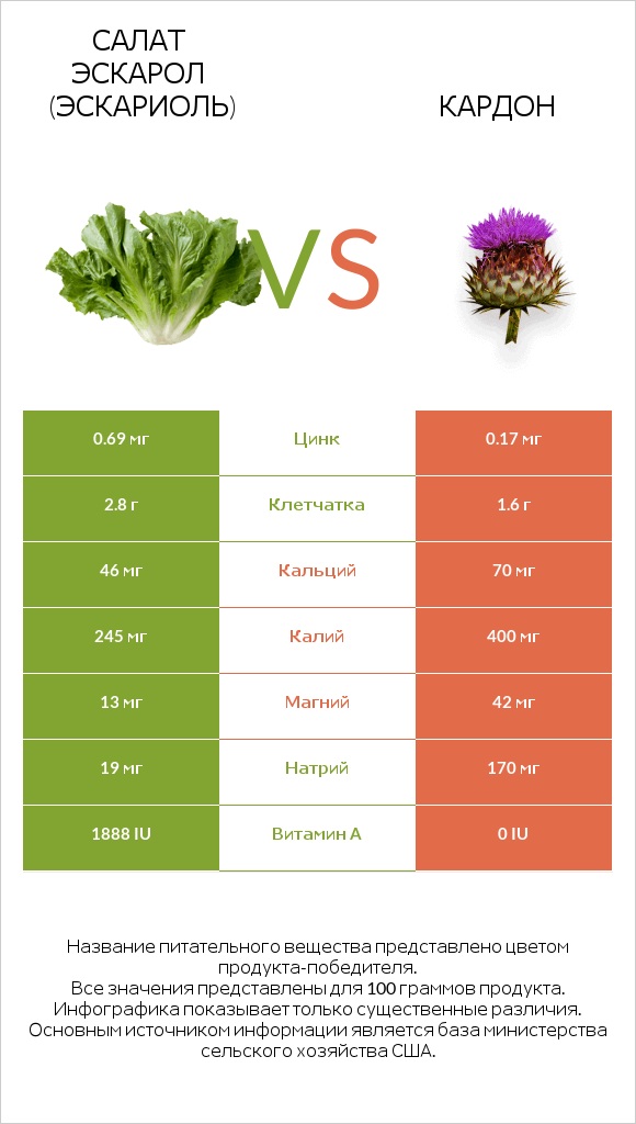 Салат Эскарол (эскариоль) vs Кардон infographic