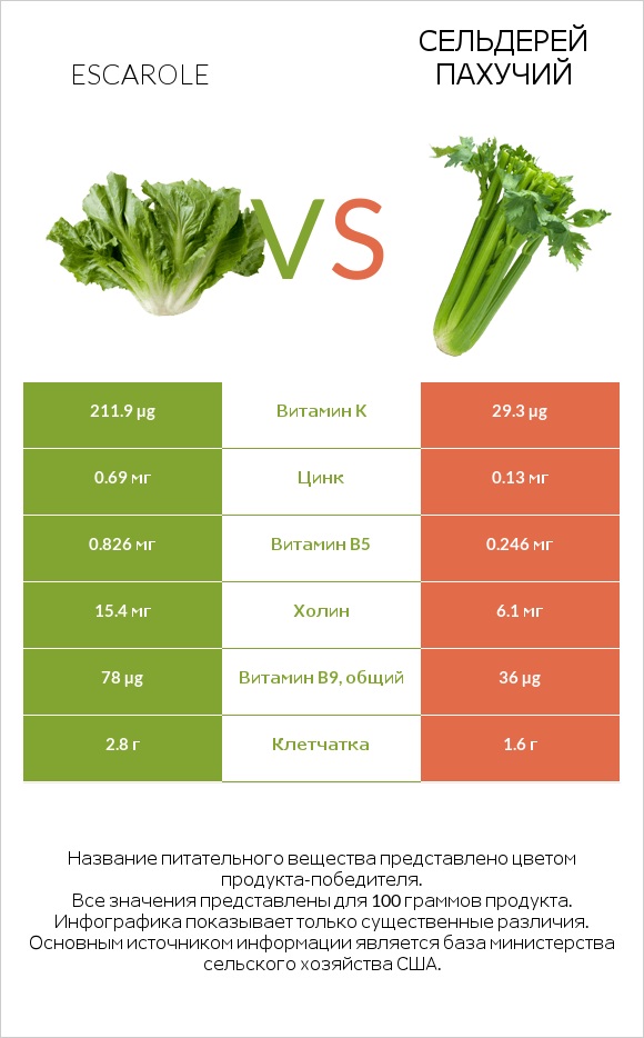 Салат Эскарол (эскариоль) vs Сельдерей пахучий infographic