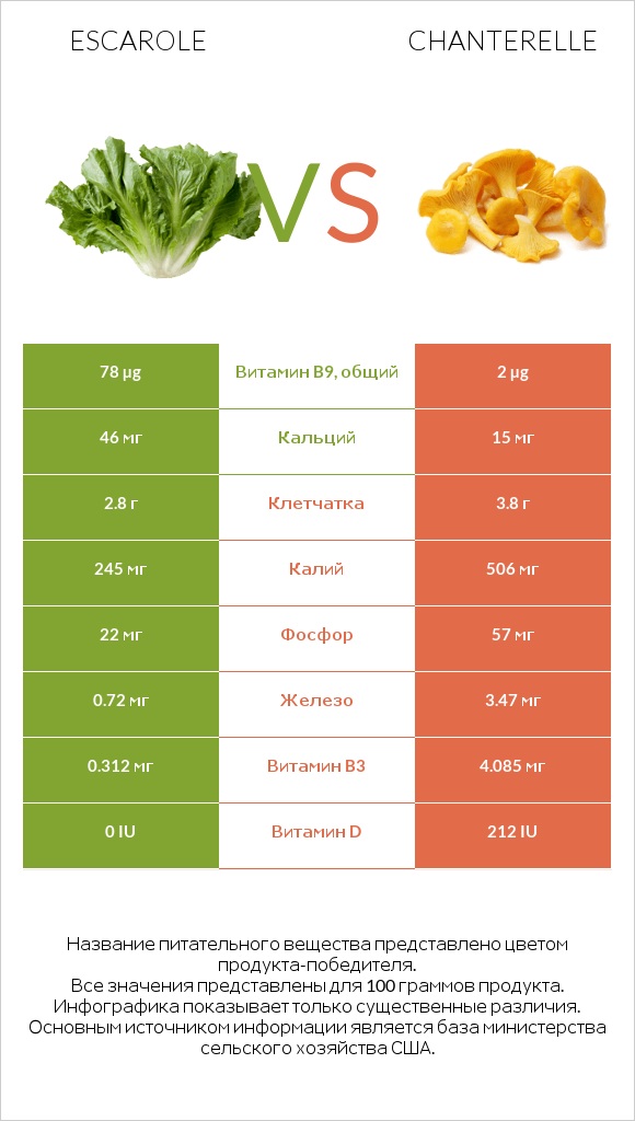 Escarole vs Chanterelle infographic