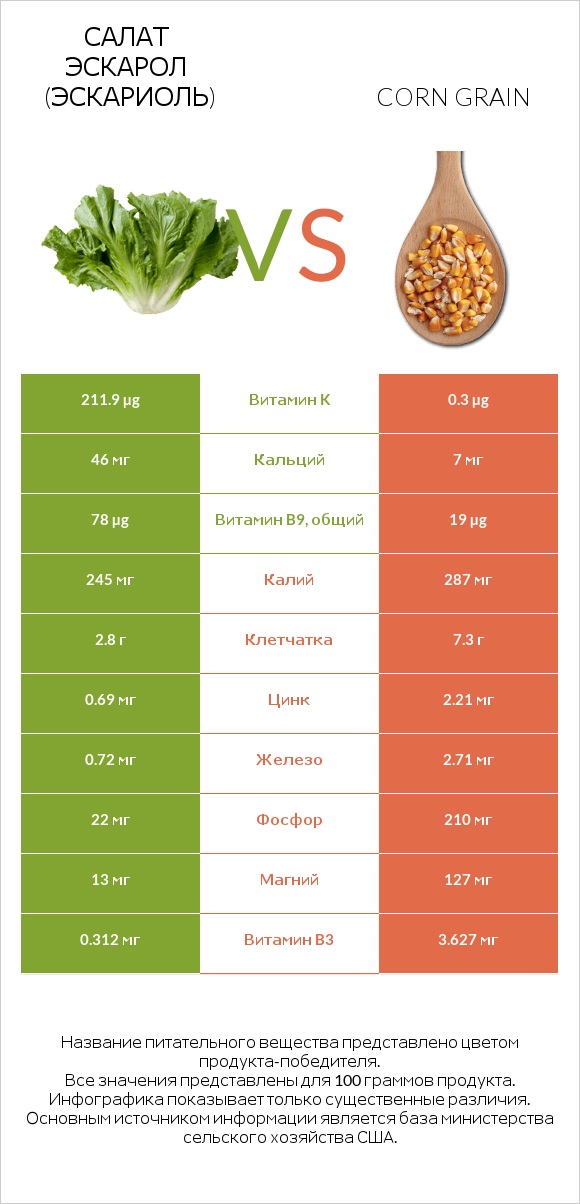 Салат Эскарол (эскариоль) vs Corn grain infographic