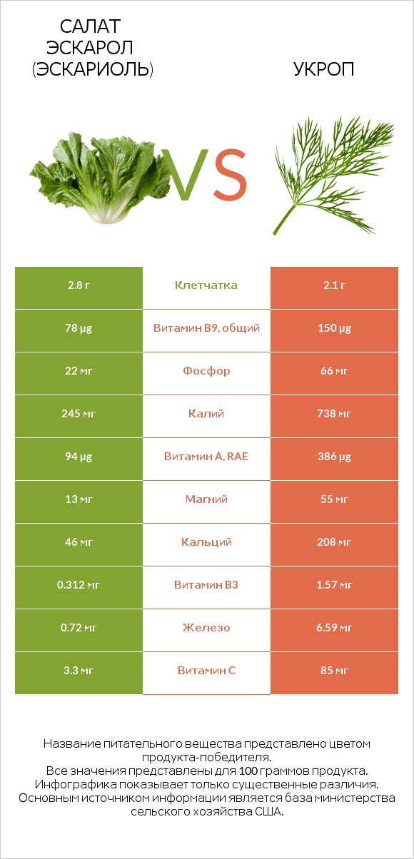 Салат Эскарол (эскариоль) vs Укроп infographic