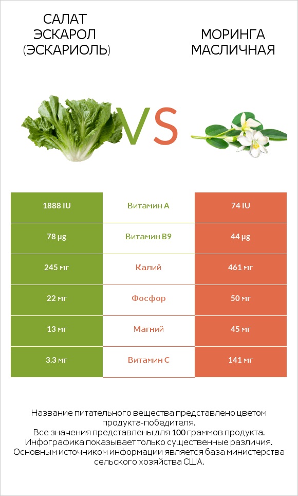 Escarole vs Моринга масличная infographic