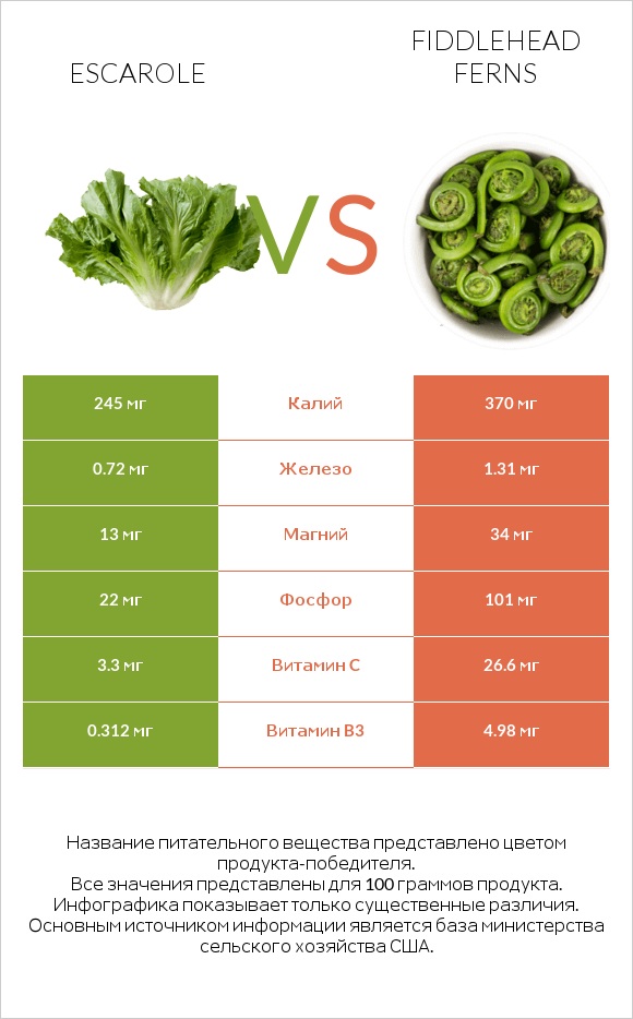Escarole vs Fiddlehead ferns infographic