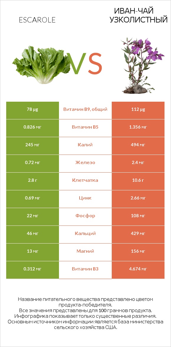 Салат Эскарол (эскариоль) vs Иван-чай узколистный infographic