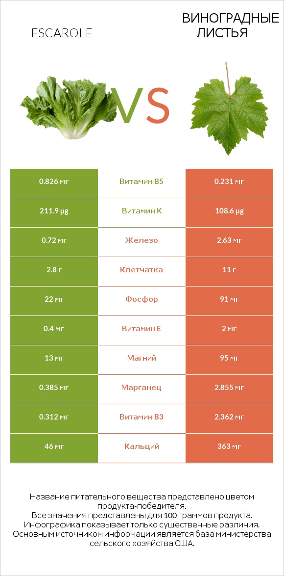 Escarole vs Виноградные листья infographic