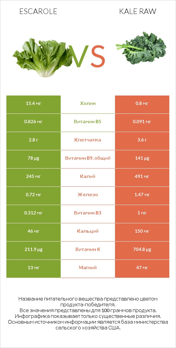 Escarole vs Kale raw infographic