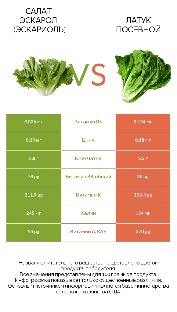 Салат Эскарол (эскариоль) vs Латук посевной infographic