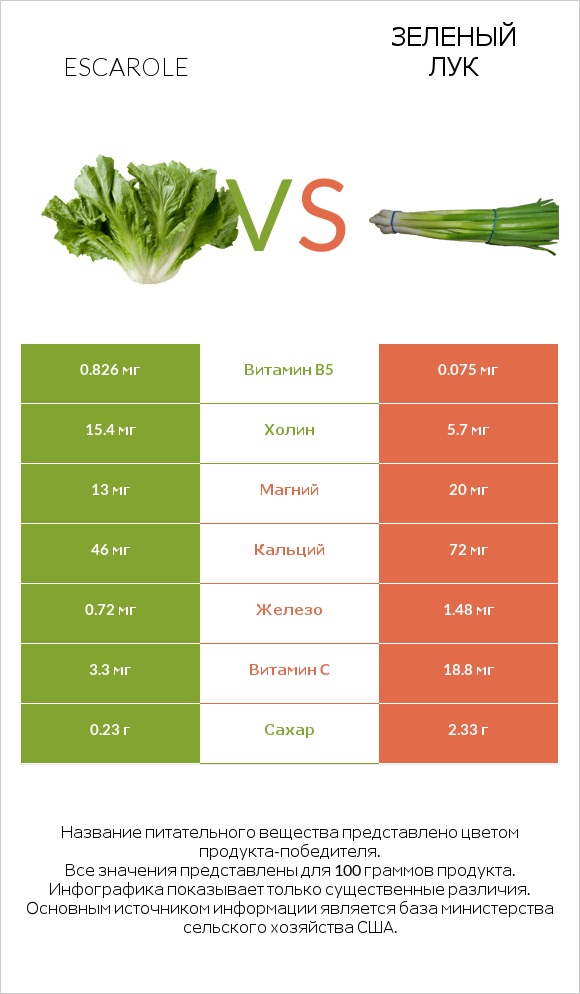 Салат Эскарол (эскариоль) vs Зеленый лук infographic