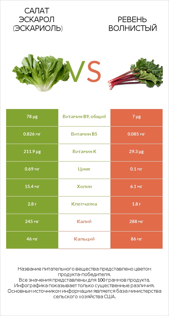 Салат Эскарол (эскариоль) vs Ревень волнистый infographic