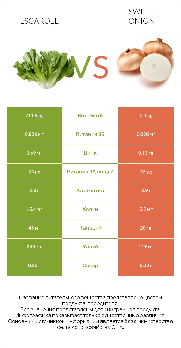 Escarole vs Sweet onion infographic