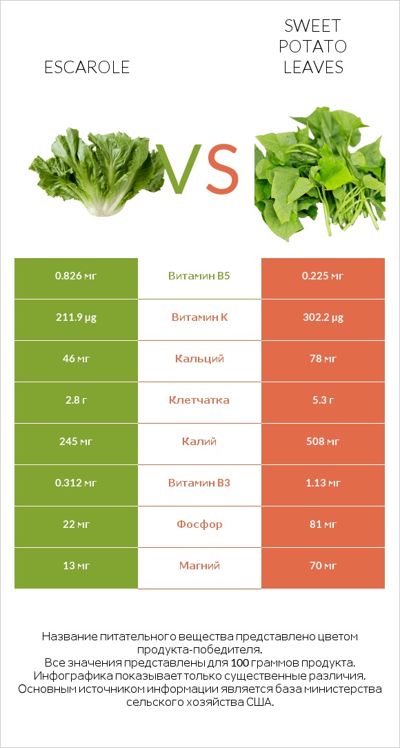 Escarole vs Sweet potato leaves infographic