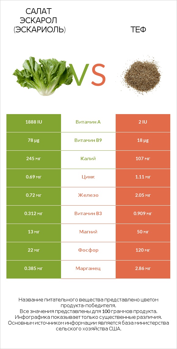 Салат Эскарол (эскариоль) vs Теф infographic