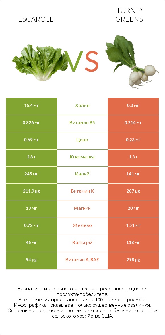 Escarole vs Turnip greens infographic