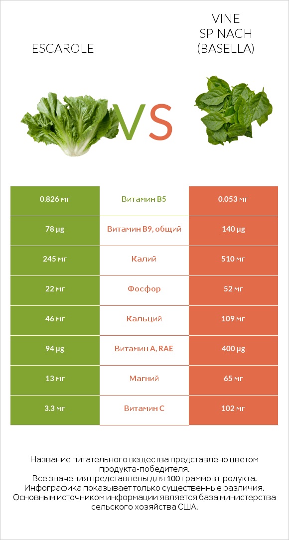 Escarole vs Vine spinach (basella) infographic