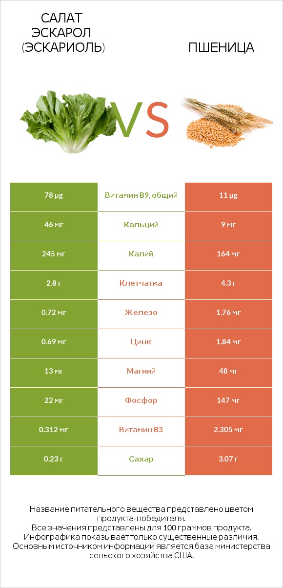 Салат Эскарол (эскариоль) vs Пшеница infographic