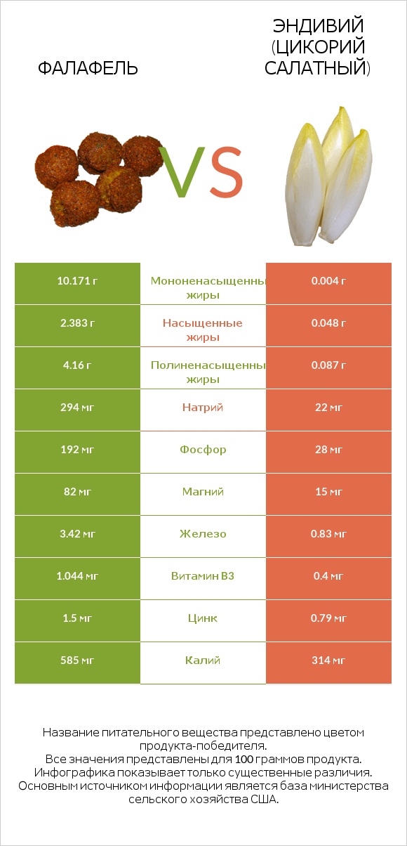 Фалафель vs Эндивий (Цикорий салатный) infographic
