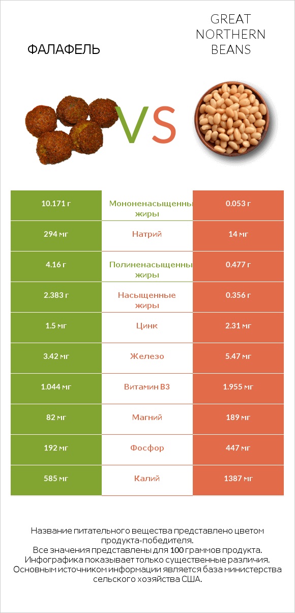 Фалафель vs Great northern beans infographic