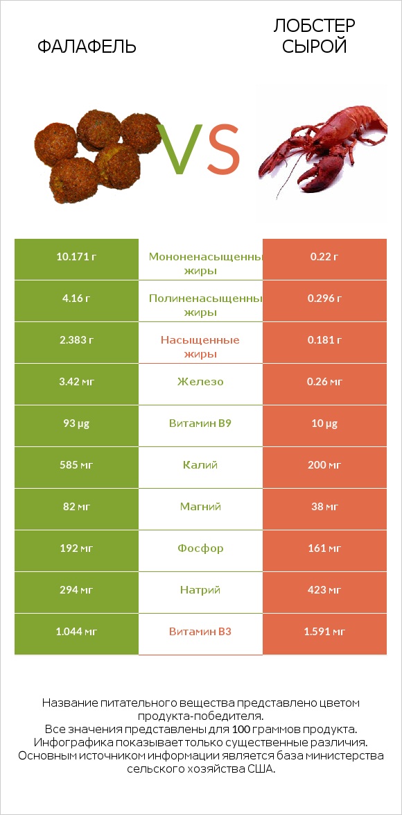 Фалафель vs Лобстер сырой infographic